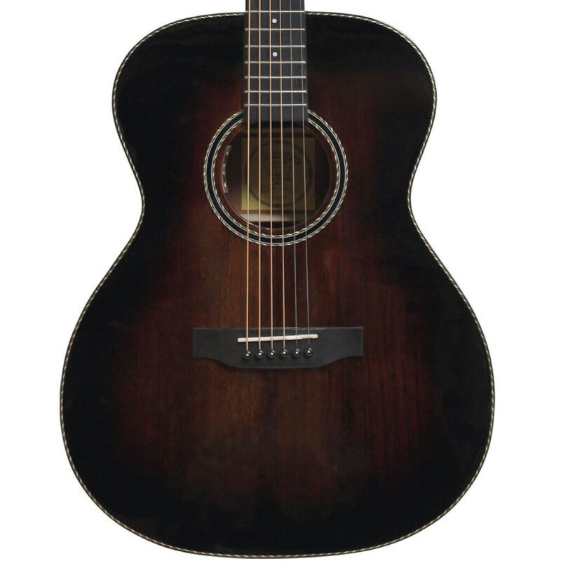 ST-300FSB acoustic guitar