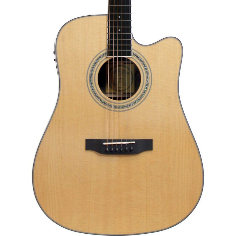 ST-300W acoustic guitar