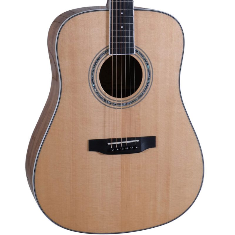 ST-300WD acoustic guitar