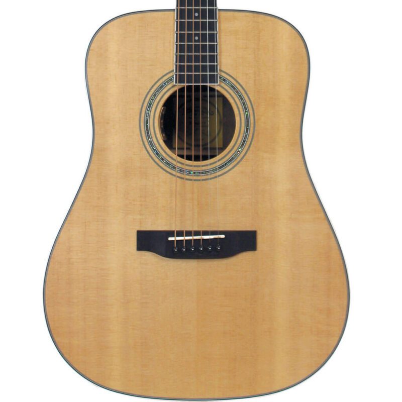 ST-300WDS acoustic guitar