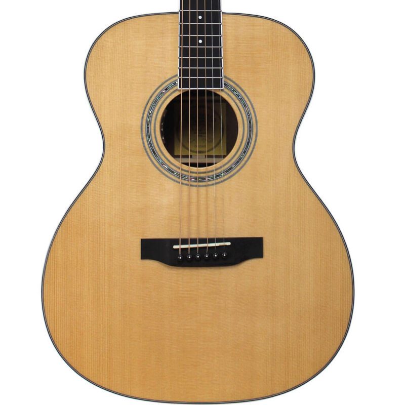 ST-300WF acoustic guitar