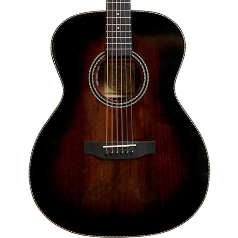 ST-300WFSB acoustic guitar