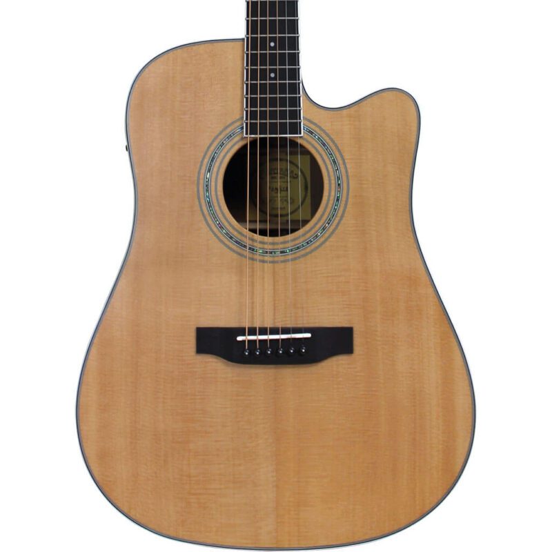 ST-300WS acoustic guitar
